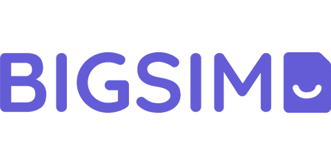 BIGSIM BIGSIM